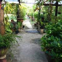 Shah alam is the capital of selangor, and is the first planned city in klang valley. Ideal Plant Nursery Shah Alam Selangor