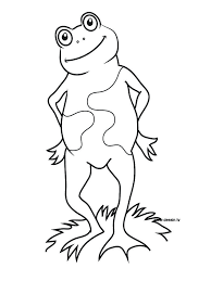Free Printable Frog Coloring Pages For Kids Fall Coloring Pages Frog Coloring Pages Summer Coloring Pages