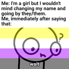 More non binary memes… this item will be deleted. Posting Nonbinary Memes Every Day Until I Turn 18 Day 3 Nonbinarymemes