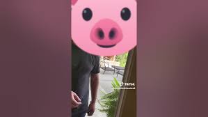 Bruce Salisbury’s attack