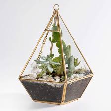 This terrarium planter comes in two sizes—small or medium. Newitty Hanging Geometric Teardrop Shaped Glass Plant Terrarium For Succulent Air Plants Moss Fern Cactus Gold Nwt 002 Buy Online In Antigua And Barbuda At Antigua Desertcart Com Productid 194484392