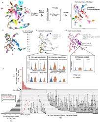 We did not find results for: Whole Animal Multiplexed Single Cell Rna Seq Reveals Plasticity Of Clytia Medusa Cell Types Biorxiv
