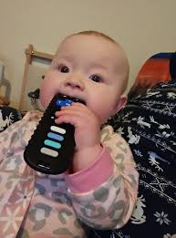 Hi, probably a silly question.. do you sanitize a sippy cup or just wash it  like normal dishes?