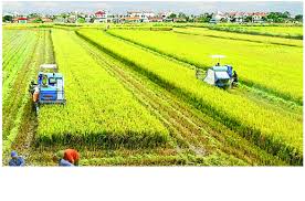 Quy trình phân chia địa bàn khu vực nông thôn trong Tổng điều tra nông  thôn, nông nghiệp năm 2025