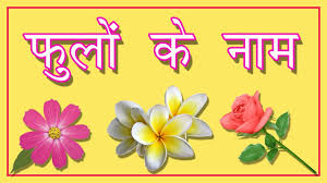 And if i have missed any vegetables name in the above list, mention them in your comment too. Flowers Online 2018 Dahlia Flower Name In Telugu Flowers Online