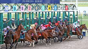 Join free at tvg.com/watch tvg broadcasts live 7 days a week covering thoroughbred and harness horse racing action from featured tracks around the world including del mar, saratoga, gulfstream park, keeneland, monmouth park, santa anita if you into horse racing it's a great app. Gulfstream Trainers Charged In Horse Doping Scheme Miami Herald