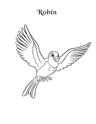 The faa estimates that about 11,000 birds collide with. Happy Robin Bird Coloring Page Download Print Online Coloring Pages For Free Color Nimbus