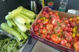 Check spelling or type a new query. What To Do With Overgrown Courgette 7 Easy Recipes For Using Giant Zucchini Pro Family Chef