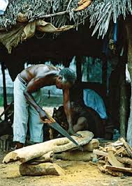 Image result for Brachylaena huillensis