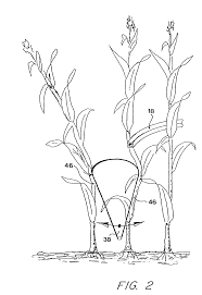 The spruce / ashley deleon nicole these free pumpkin coloring pages will be sna. Coloring Pages For Corn Stalks