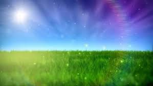 Explore and download tons of high quality nature wallpapers all for free! Nature Gif Background For Powerpoint Animated Background Nature Gif 1280x720 Download Hd Wallpaper Wallpapertip