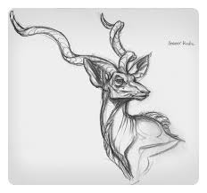 Jaw Cooper Character Design References Find More At Https Www Facebook Com Characterdesignre Animal Art Animal Drawings Art