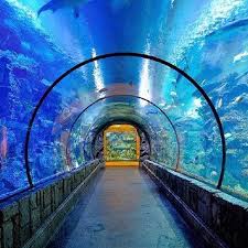 Pg Acrylic Acrylic Tunnel Aquariums Aquarium Large