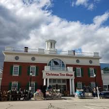 Todd johnson is the president of christmas tree shops. Christmas Tree Shops 55 Photos 18 Reviews Christmas Trees 490 Payne Rd Scarborough Me Phone Number Yelp