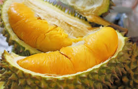 Yang penting ianya senang untuk kita urus dan boleh jimatkan kos. Tips Dan Panduan Untuk Menanam Pokok Durian Yang Anda Perlu Tahu Kartel Dakwah