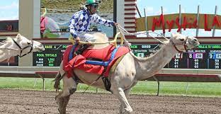 The official twitter account for hollywood casino at charles town races gambling problem? Extreme Race Day Canterbury Park