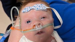 Fundraiser by Kevin Topscher : Help Rowan's Mommy and Daddy