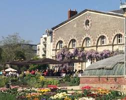 Cafe De L Orangerie Nantes Restaurant Avis Numero De Telephone Photos Tripadvisor