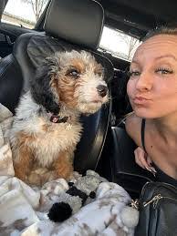 Diana Clapper's Instagram, Twitter & Facebook