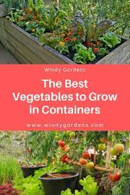 The Best Vegetables To Grow In Containers Growing Vegetables Container Vegetables Garden Plant Pots
