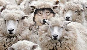 false에 대한 이미지 검색결과