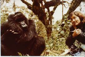 Secrets in the mist season 1. Dian Fossey Biography Dian Fossey