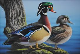 Pin By Twan Hoegen On Burung In 2020 Animal Paintings Wildlife Artists Wood Ducks