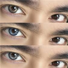 【676】日拋 Brown/Blue/Gray 棕色/藍色/灰色 0-800度