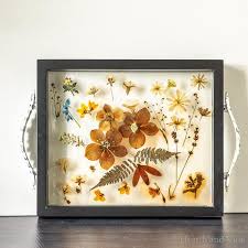 As i mentioned, the glass squares were purchased at hobby lobby. Pressed Flower Resin Tray Makes A Beautiful And Unique Gift Hearth And Vine
