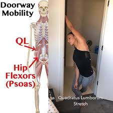 Check spelling or type a new query. Hip Flexors Ql Lats You Think Docjenfit Jen Esquer