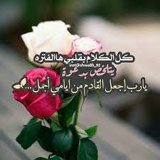 pin by got7 love on منوعاتي rose cool pictures picture