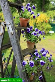 Vertikales Gartnern Mehr Ertrag Selbst Auf Dem Kleinsten Balkon Vertikaler Garten Pflanzen Garten