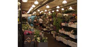 Order now to receive free shipping with no minimum quantity order! The After Hours Flowers New York Wholesale Flower Markets