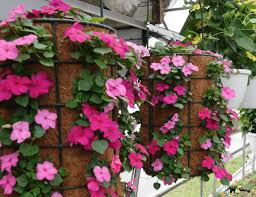 Check spelling or type a new query. Flowers Gardens Plants Lawns Landscaping Nurseries Lancaster County Pareal Lancaster County