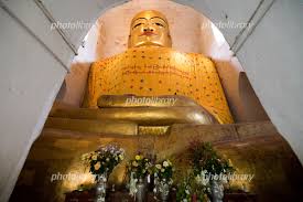 フォトライブラリー