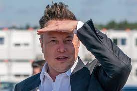 Elon Musk, en 280 caracteres: de robar esmeraldas a su padre a comprar  Twitter | Empresas
