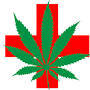 Marijuana 420 Doctor from orlando420doctor.com