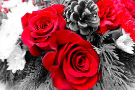 Maybe you would like to learn more about one of these? Teleflora Christmas Arrangements Powered By Mom