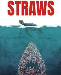 Say No To Plastic Straws Funny Animal Photos Environmental Art Animal Photo