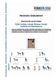 Für einige hunderassen gibt es bereits spezifische gentests, die es ermöglichen, „normale hunde von hunden, die „träger eines spezifischen mutierten gens sind. Dna Test Hund Rassebestimmung Ihres Hundes Dank Dna