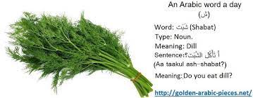 learning arabic msa fabiennem arabic words word of the day learning arabic
