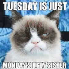 It is closer to the past weekend rather than to the upcoming one, so it's obvious that people make fun of people will love these tuesday funny memes and they will know that your sense of humor is hilarious. Happy Tuesday Memes Images And Tuesday Motivational Quotes I Love Text Messages