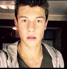 Pin By Avery Hamff On Shawn Mendes Shawn Mendes Shawn Mendes