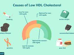 High cholesterol treatment includes lifestyle changes (diet and exercise), and medications such as statins, bile acid resins. What Causes Low Hdl Cholesterol Levels