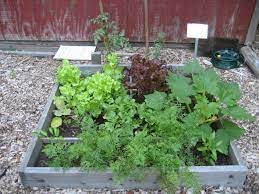 Square Foot Gardening Square Foot Gardening Growing Vegetables Organic Vegetable Garden Square Foot Gardening