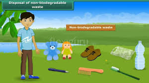 Disposal Of Non Biodegradable Waste