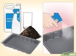 Maybe you would like to learn more about one of these? How To Propagate Clematis With Pictures Wikihow
