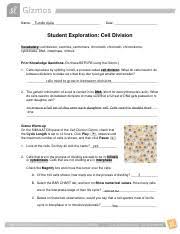 Chromatin coils to form visible chromosomes c. Bl3 U2013 Ga 3 Student Exploration Worksheet Cell Division Gizmo Activity 1 2 Pdf Name Tunde Ajala Date Student Exploration Cell Division Course Hero