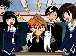 Fruits Basket Photo Fruits Basket Fruits Basket Anime Fruits Basket Anime
