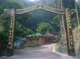 Selain menikmati keindahan dari air terjun anda juga bisa menikmati sajian hutan hijau dengan udara yang segar. Senarai Lokasi Hutan Lipur Air Terjun Di Negeri Sembilan Emajalah2u